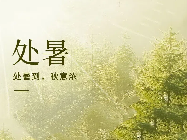 thumb_1724291634594738