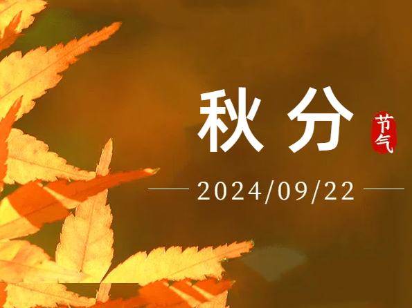 thumb_1726918053124618