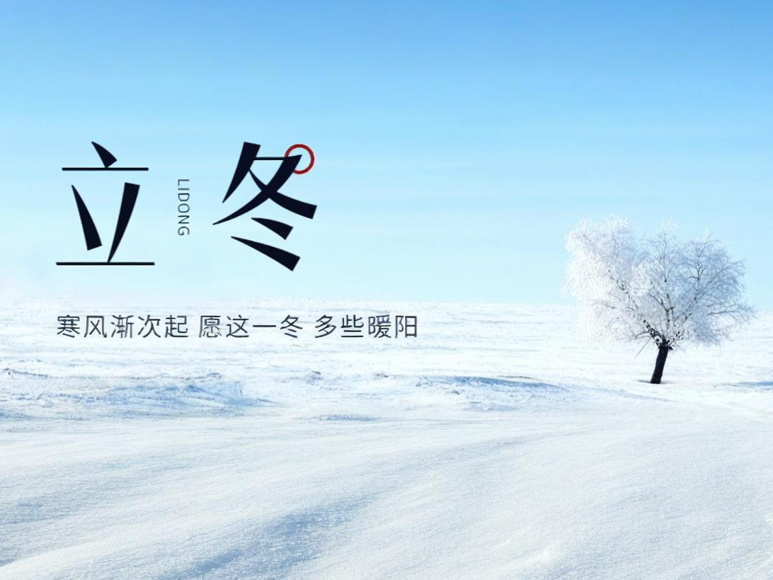 立冬 | 初冬新酝，，向光而行